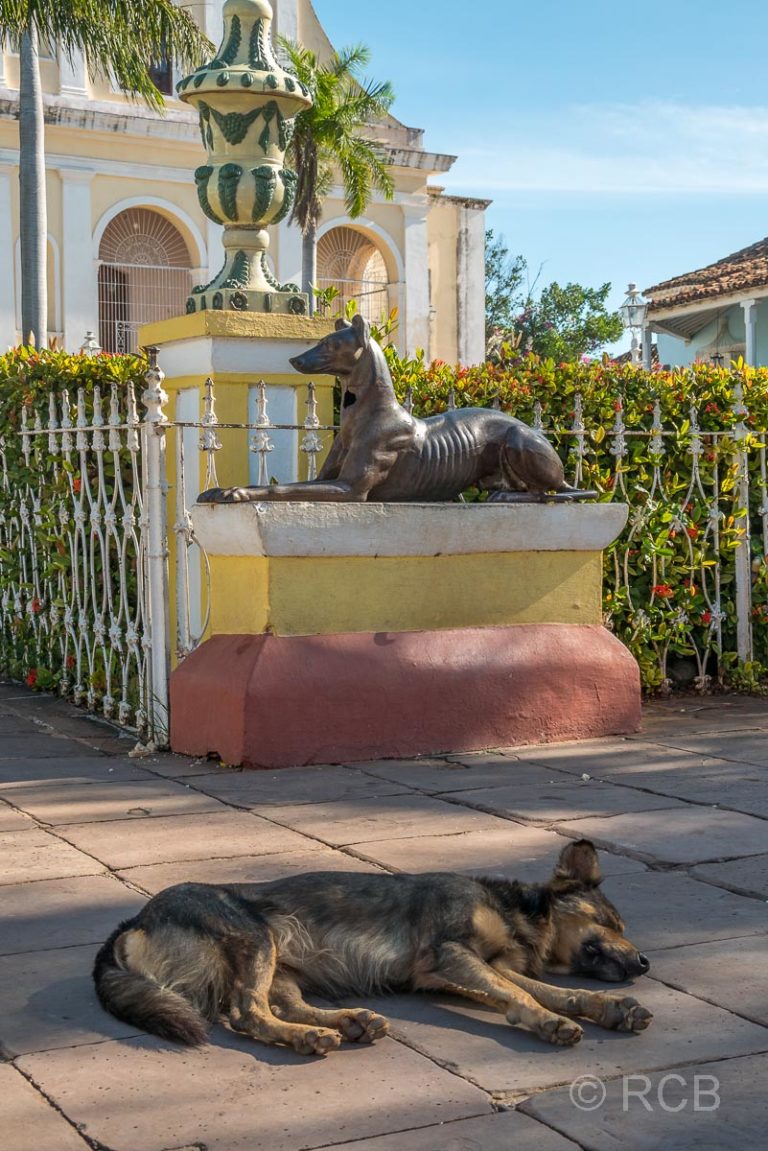 2 Hunde, Plaza Mayor, Trinidad