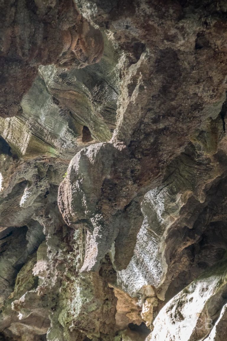 Stein in Entenform in der Cueva de Santo Tomás