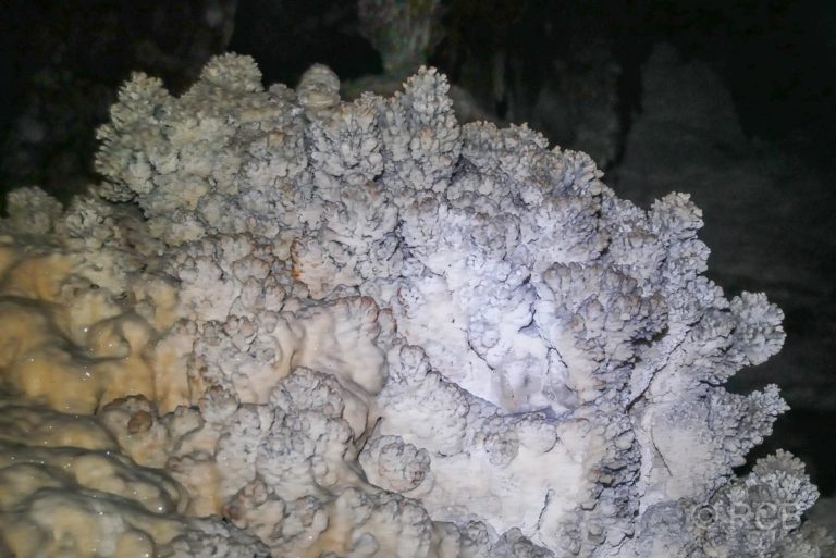Cueva de Santo Tomás, Tropfsteine