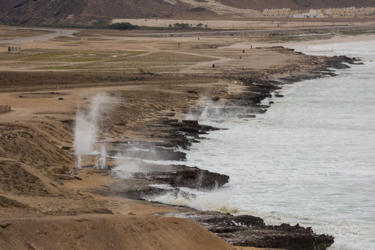 Fontänen schießen aus den "blowholes" an der Küste bei Mughsayl.