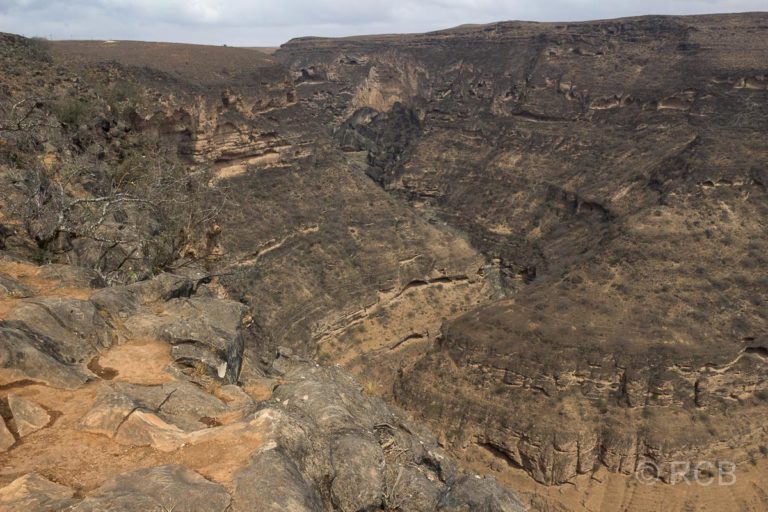 Canyon am Taiq Sinkhole