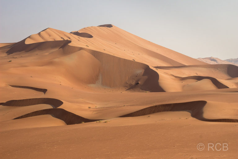 Dünen in der Wüste