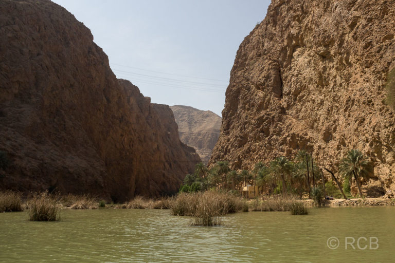 Blick ins Wadi Shab