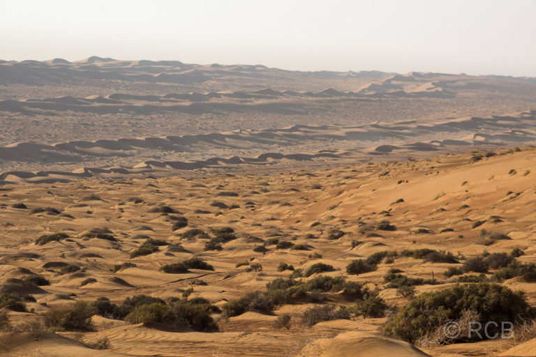 Blick über die Wahiba-Wüste