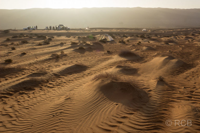 tiefstehende Sonne in der Wahiba-Wüste