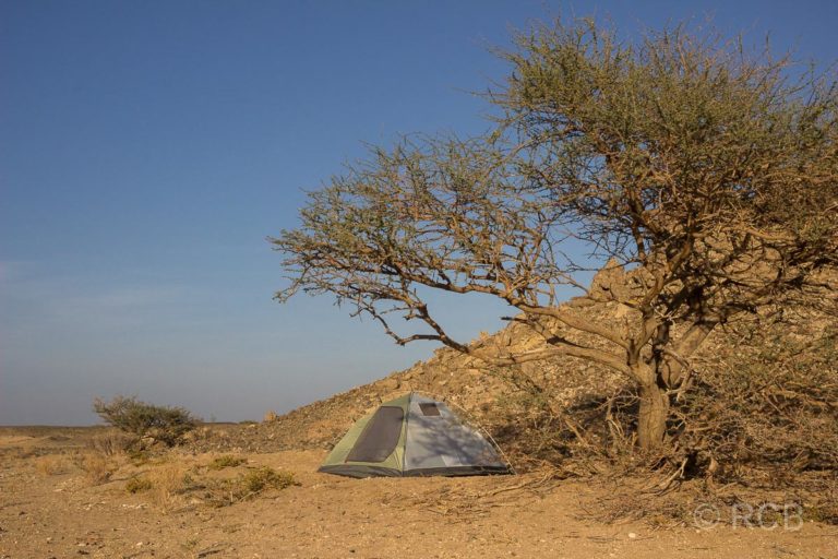 mein Zelt in der Steinwüste südlich von Sinaw