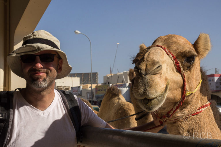 Tourist mit Kamel