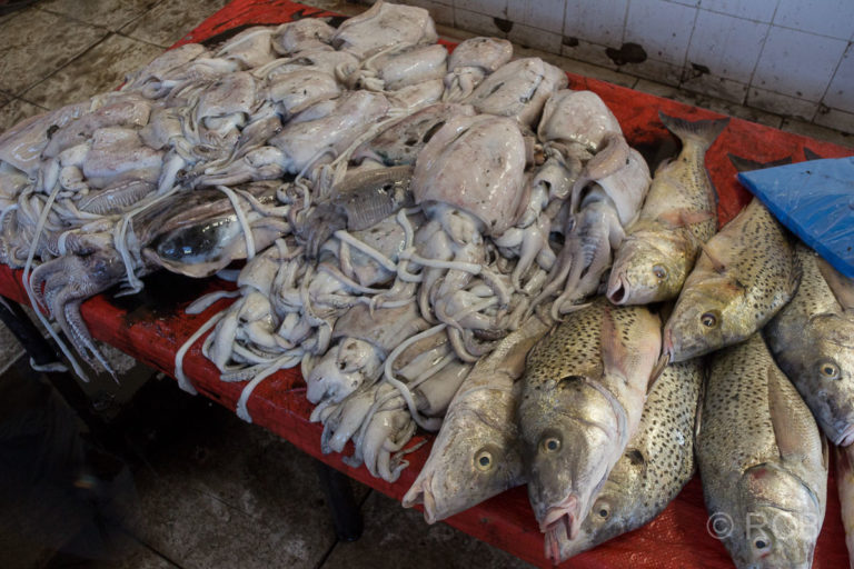Zahllose Fischsorten im Angebot