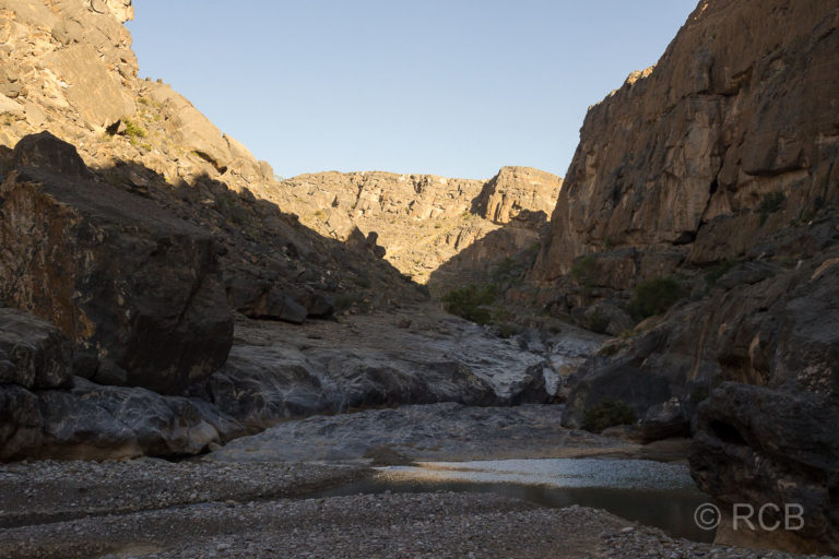 Wadi Dham im kühlenden Schatten