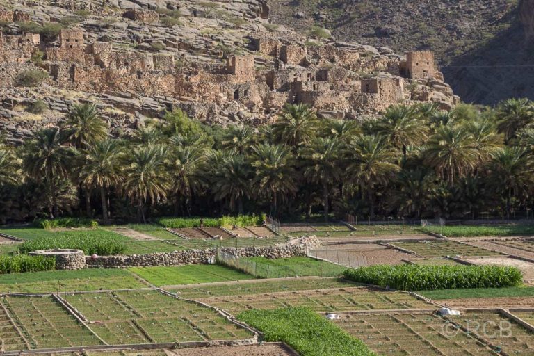 Gärten im Wadi Ghul und die verlassene Stadt dahinter