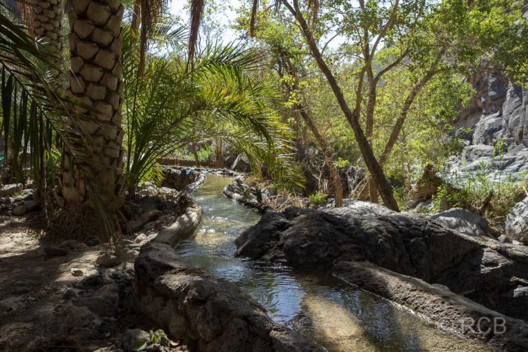 Bewässerungskanal im Wadi Nakhar