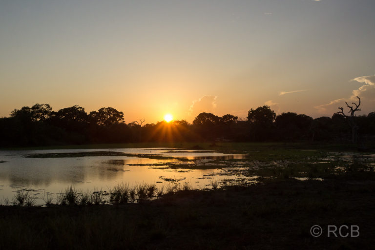 Sonnenuntergang im Yala Nationalpark