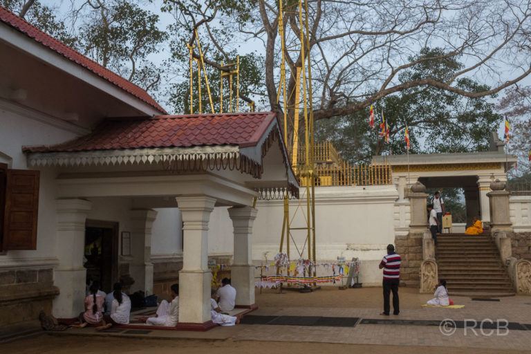 morgendliche Puja am heiligen Bodhi-Baum in Anuradhapura