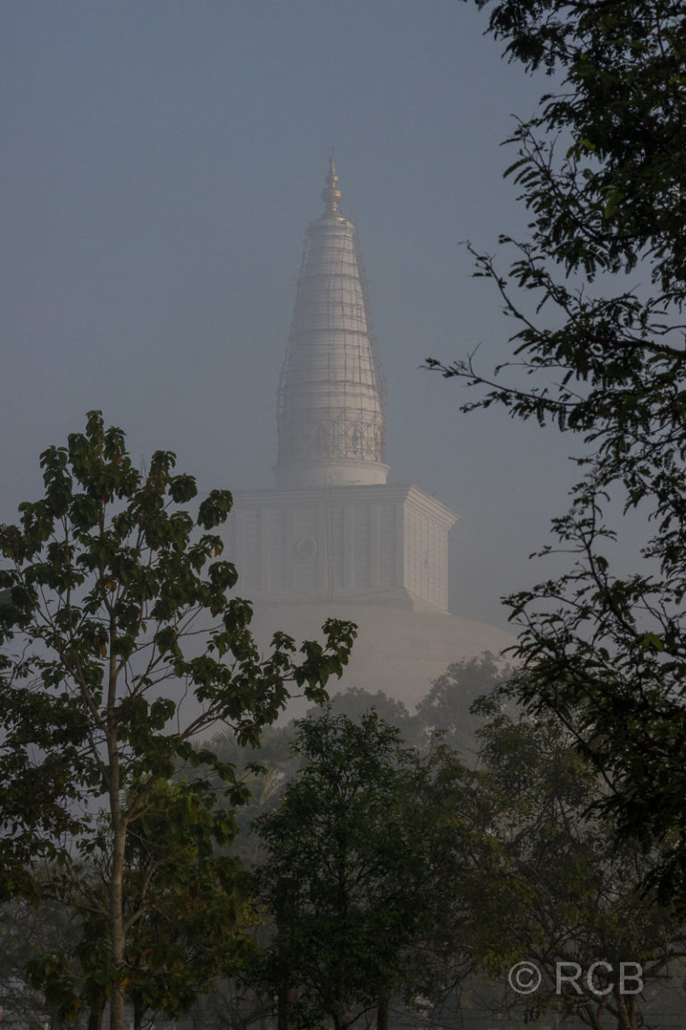 Ruvanveli Seya, Anuradhapuras bedeutendster Stupa im Morgennebel