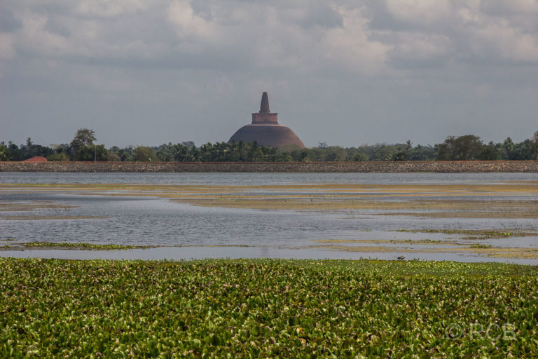Blick über den See bei Anuradhapura bis zur Abhayagiri Dagoba
