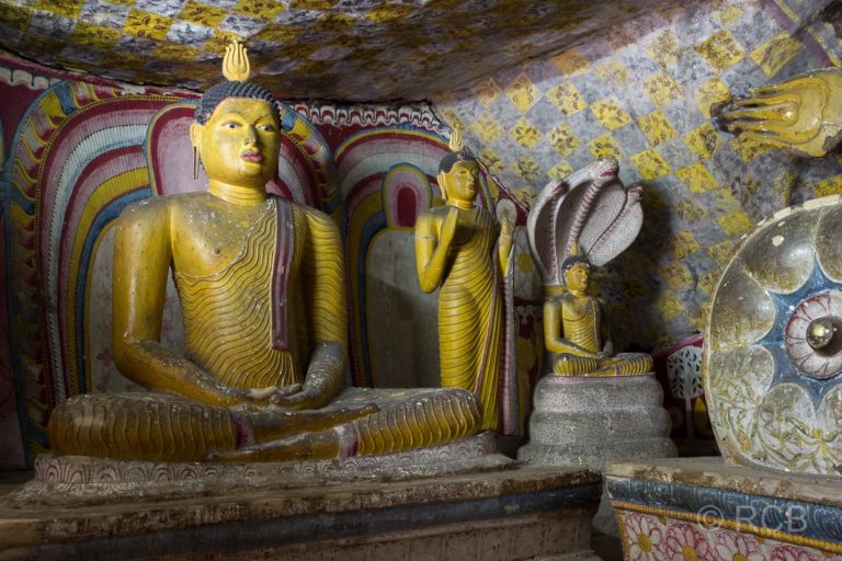 Buddhastatuen in den Grotten des Höhlentempels von Dambulla