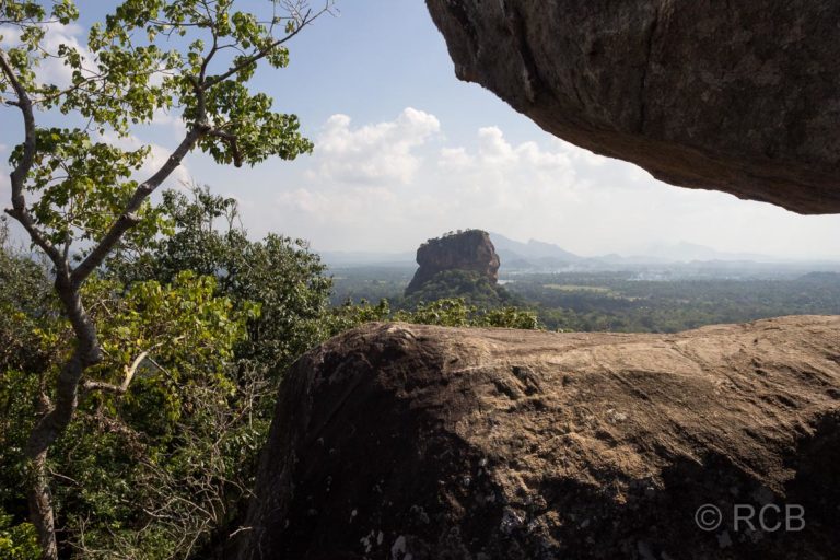 Blick vom Pidurangala zum Felsmonolith von Sigiriya