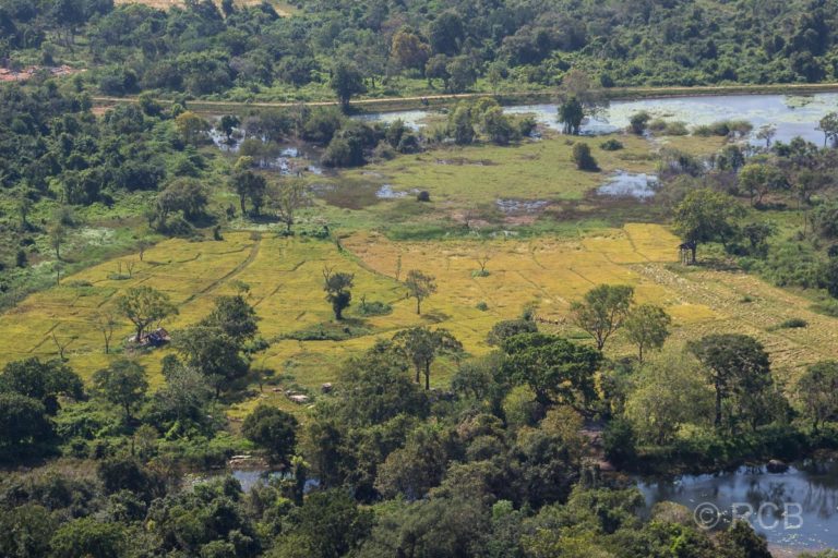 bewirtschaftete Felder, vom Pidurangala aus gesehen