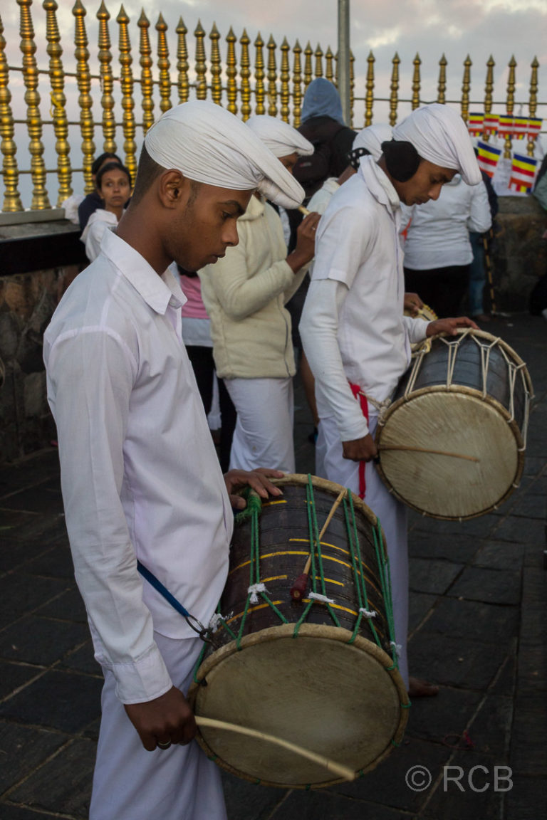 Musikanten bei der morgendlichen Puja