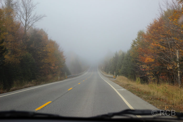 Straße in Maine im Nebel