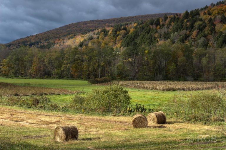 Felder in Vermont nach dem Regen