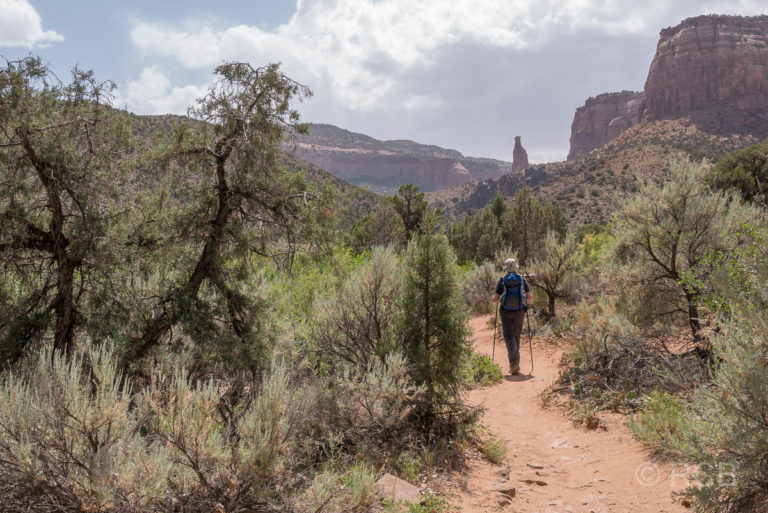 Mann wandert im Monument Canyon