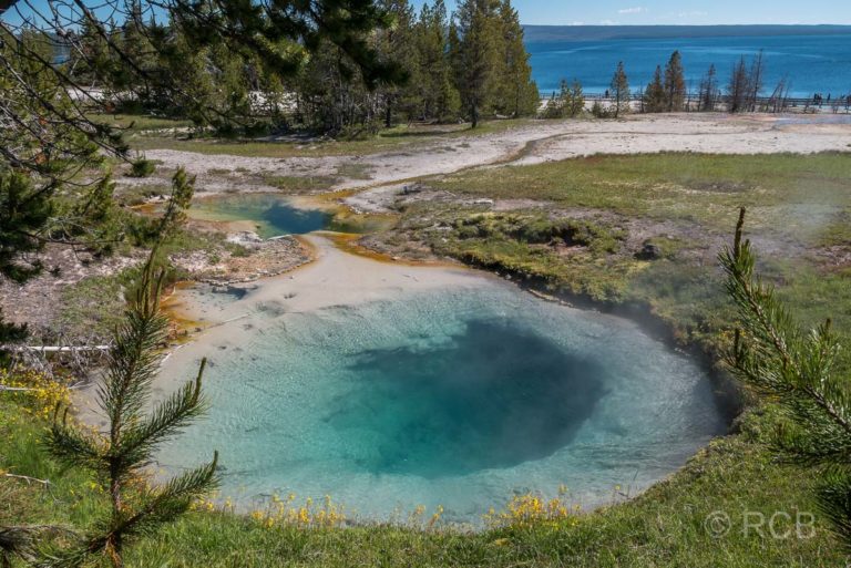 West Thumb Basin: Bluebell Pool, Yellowstone NP