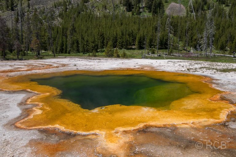 Black Sand Basin: Emerald Pool, Yellowstone NP