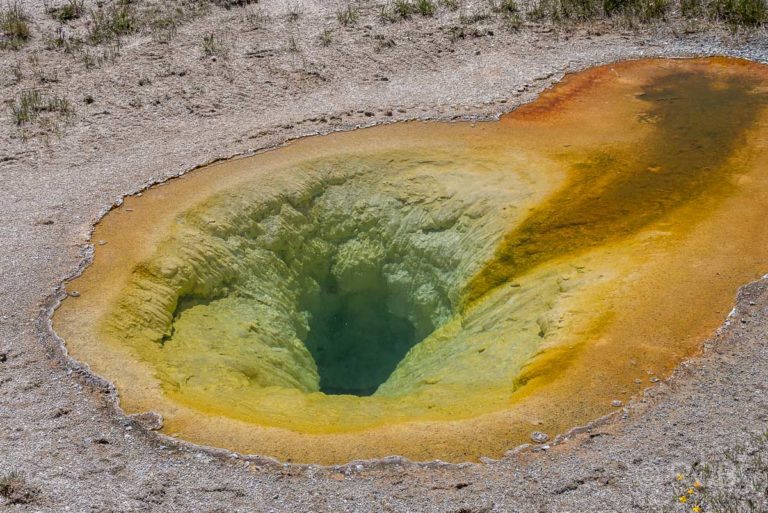 Upper Geyser Basin: Belgian Pool, Yellowstone NP