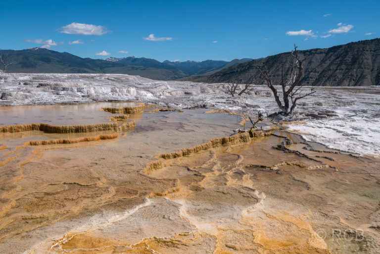 Mammoth Upper Terraces: Canary Spring, Yellowstone NP