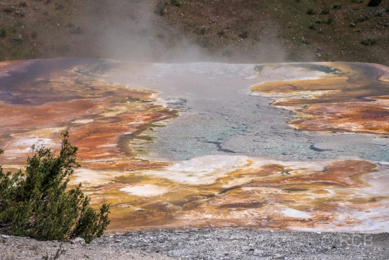 Mammoth Lower Terraces: Palette Spring, Yellowstone NP