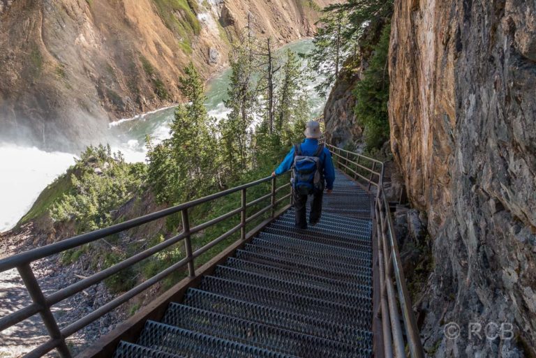 Abstieg zu Uncle Tom's Point, Grand Canyon of the Yellowstone