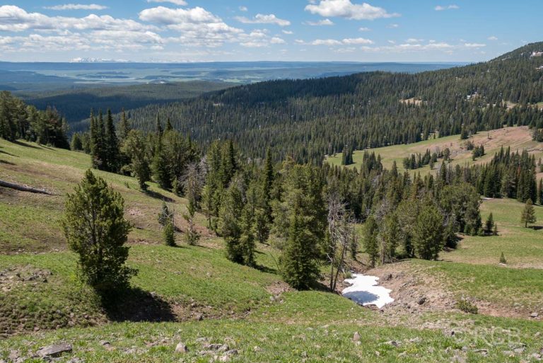 Mount Washburn Trail, Blick nach Süden, Yellowstone NP