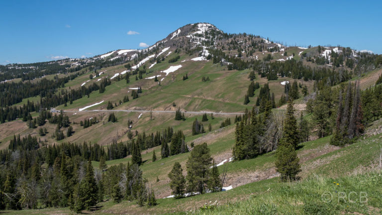 Mount Washburn Trail, Blick zur Grand Loop Road, Yellowstone NP