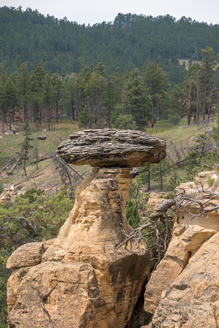 am Red Beds Trail, Devils Tower NM