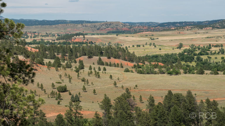 Ausblick vom Red Beds Trail, Devils Tower NM