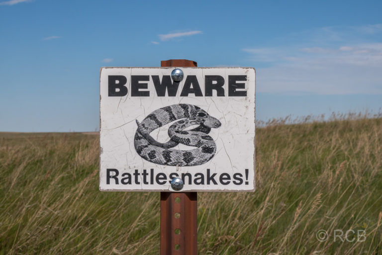 Warnschild vor Klapperschlangen im Badlands NP