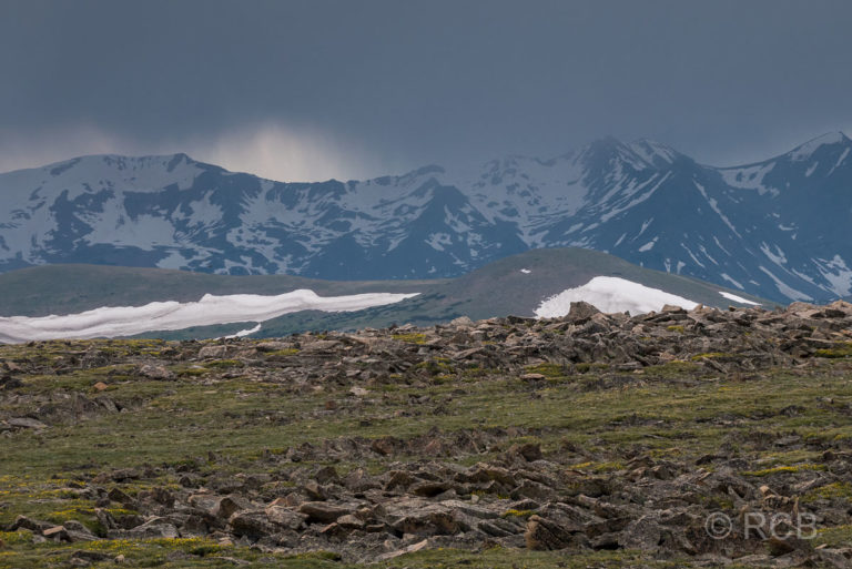 Ausblick vom Tundra Communities Trail, Rocky Mountain NP
