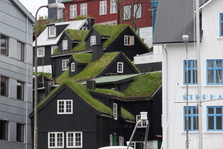 Grasdachhäuser in Torshavn