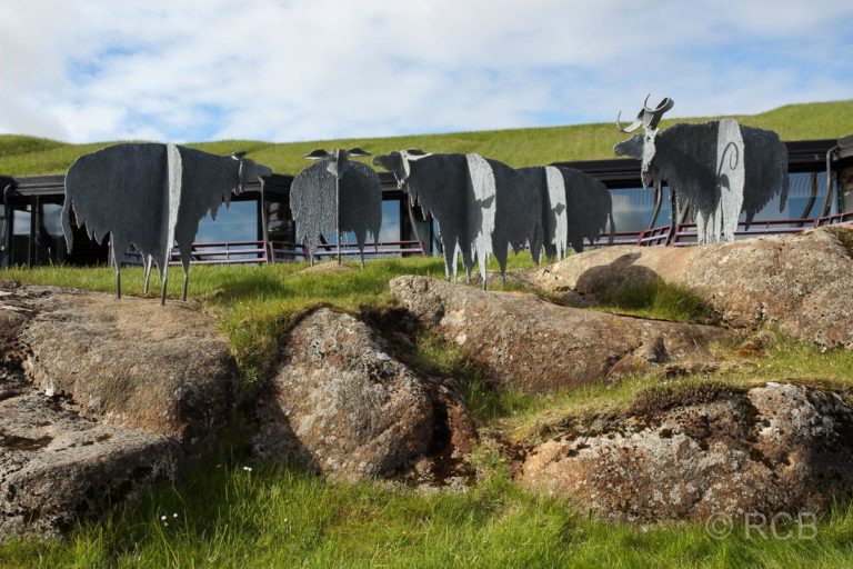 Schafe vor dem Nordlandhaus in Torshavn