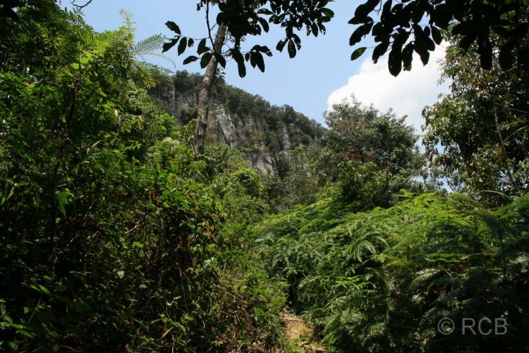 Klang Gate Ridge