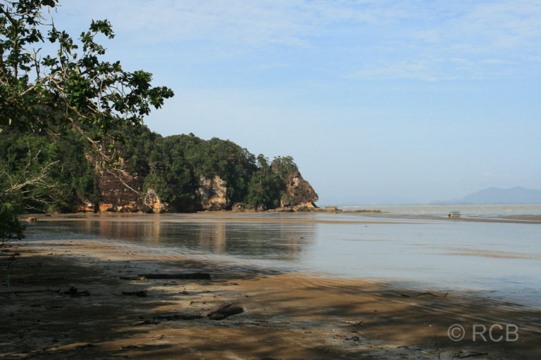 die Bucht Teluk Assam, Bako Nationalpark
