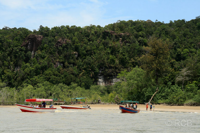 Bootsanleger am Teluk Assam, Bako Nationalpark