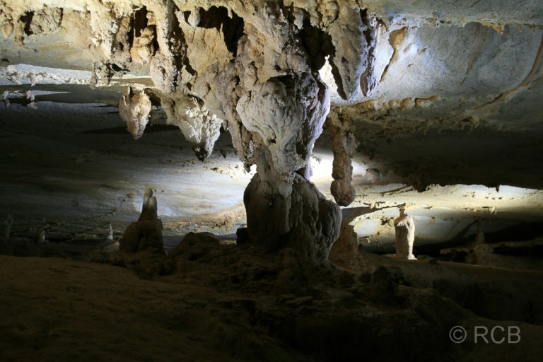 Tropfsteinsäule in Lang's Cave, Mulu Nationalpark