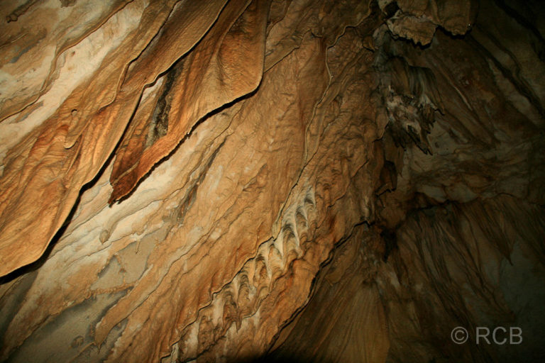 Tropfsteinvorhang in Lang's Cave, Mulu Nationalpark