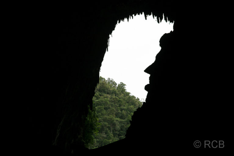 Blick aus der Deer Cave heraus mit dem Profil von Abraham Lincoln, Mulu Nationalpark