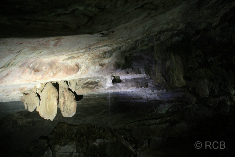 Deer Cave, Höhleninneres, Mulu Nationalpark