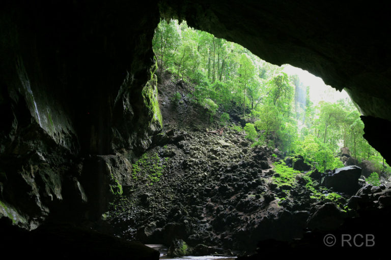 Deer Cave, Ausgang zum "Garden of Eden", Mulu Nationalpark