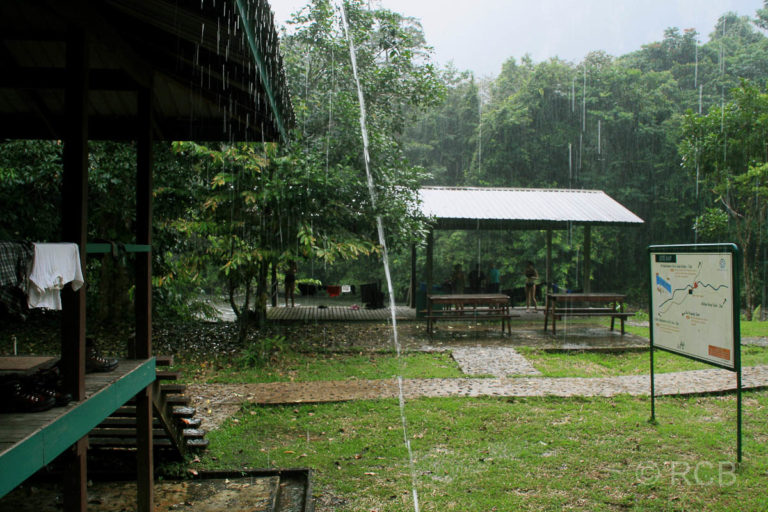 ein Tropenguss geht über Camp 5 nieder, Mulu Nationalpark