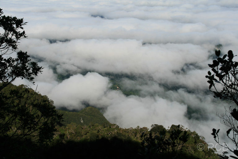 über den Wolken beim Aufstieg zu den Pinnacles, Mulu Nationalpark